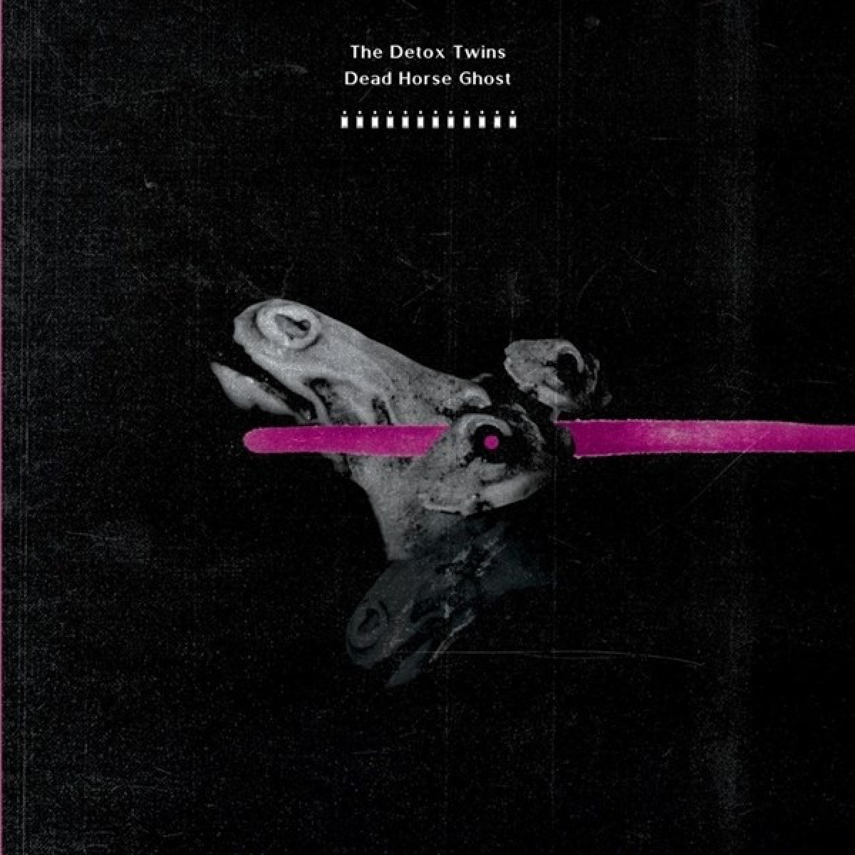 Detox Twins - Dead Horse Ghost