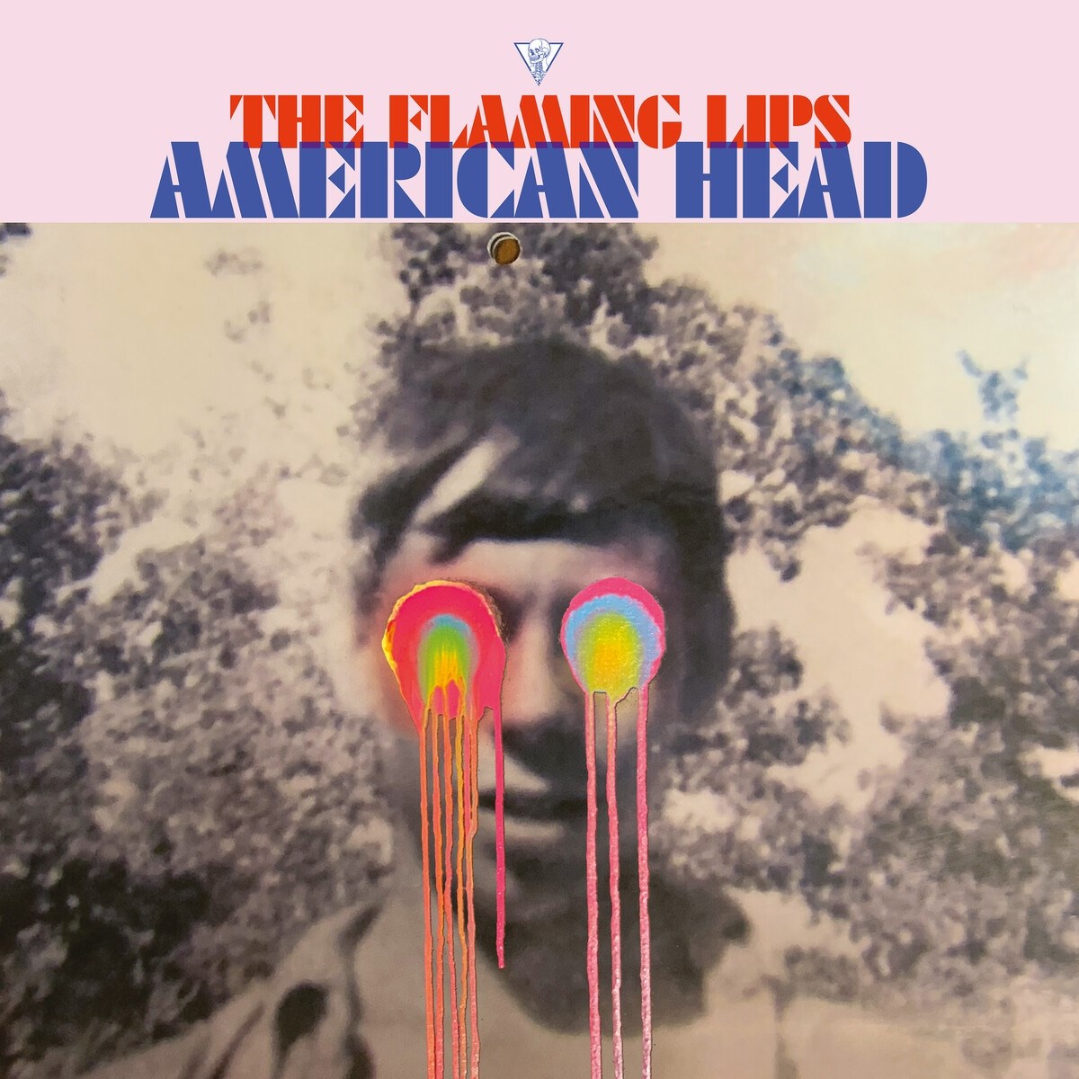 Afbeelding van American Head