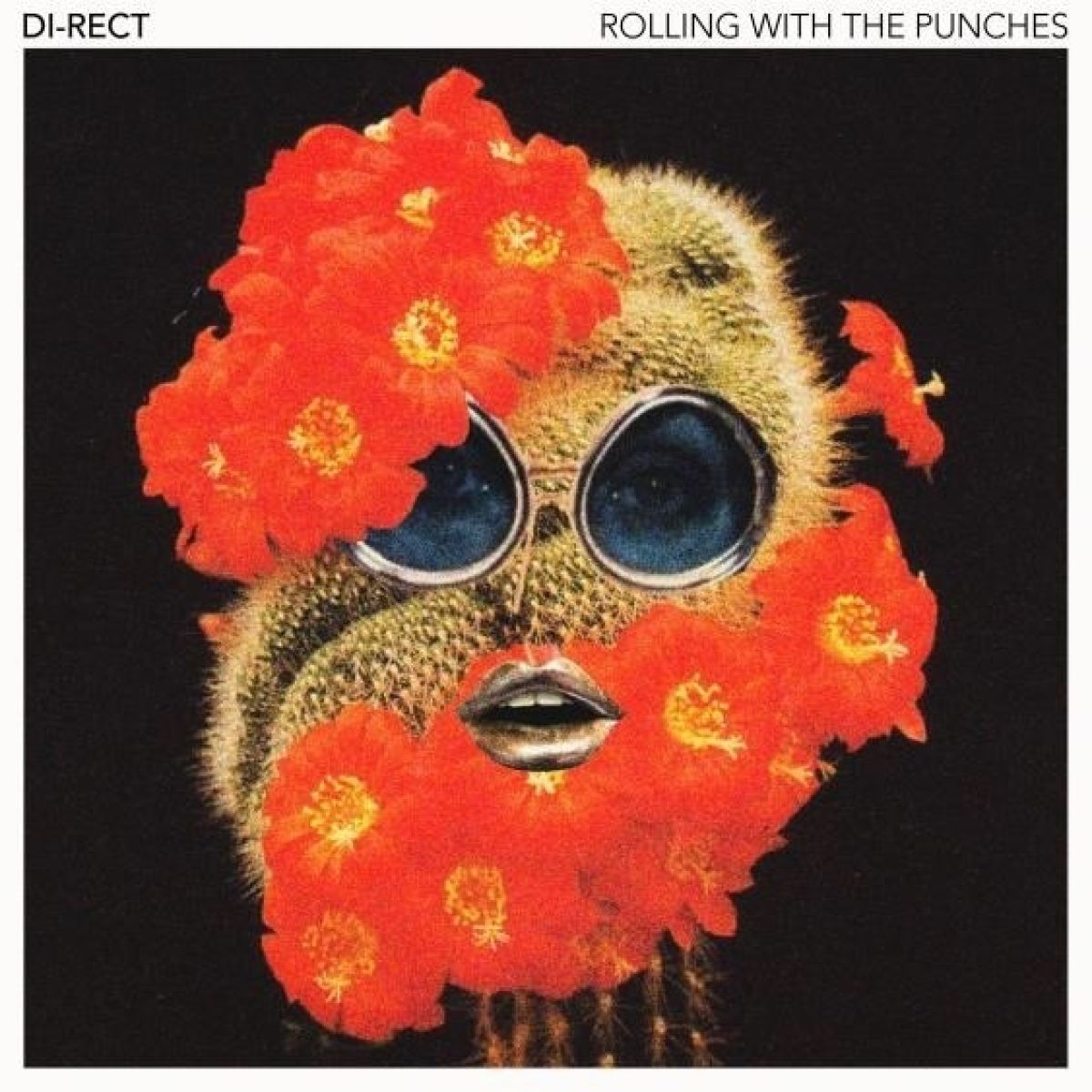 Afbeelding van Di-Rect - Rolling with The punches