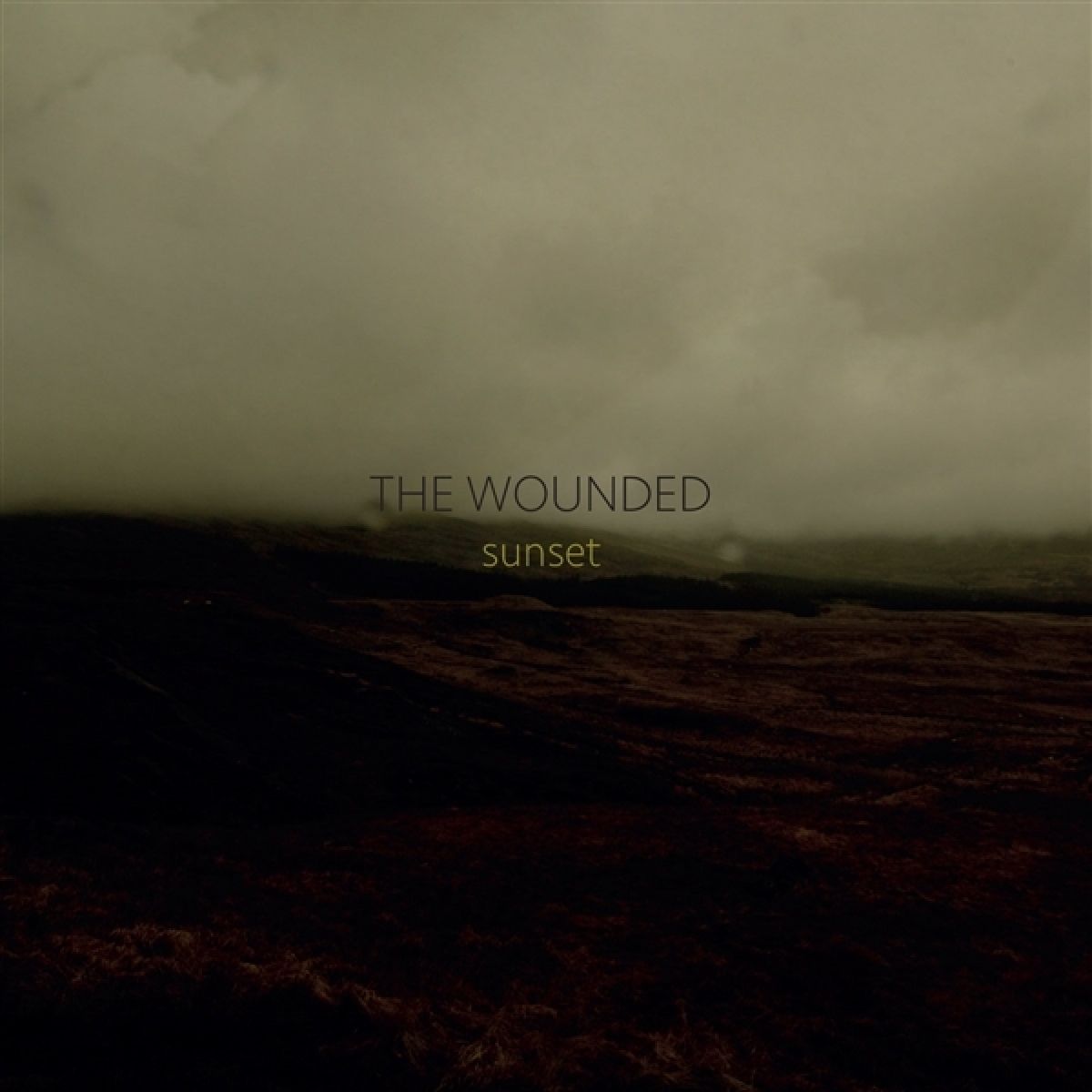 Afbeelding van The Wounded - Sunset