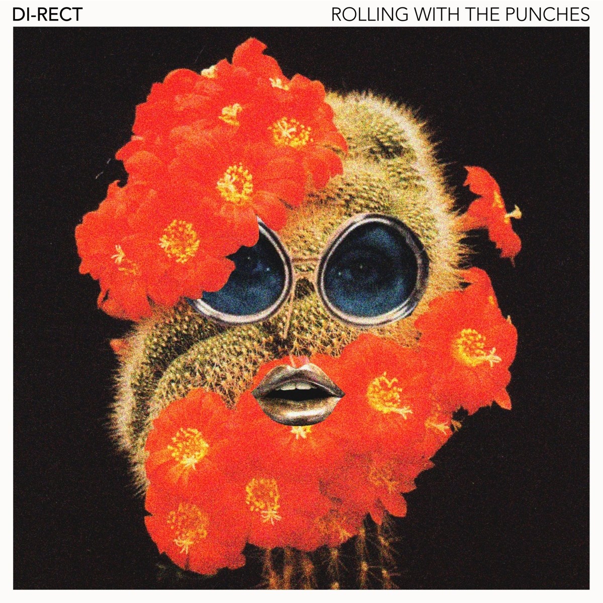 Afbeelding van Di-Rect - Rolling with The punches
