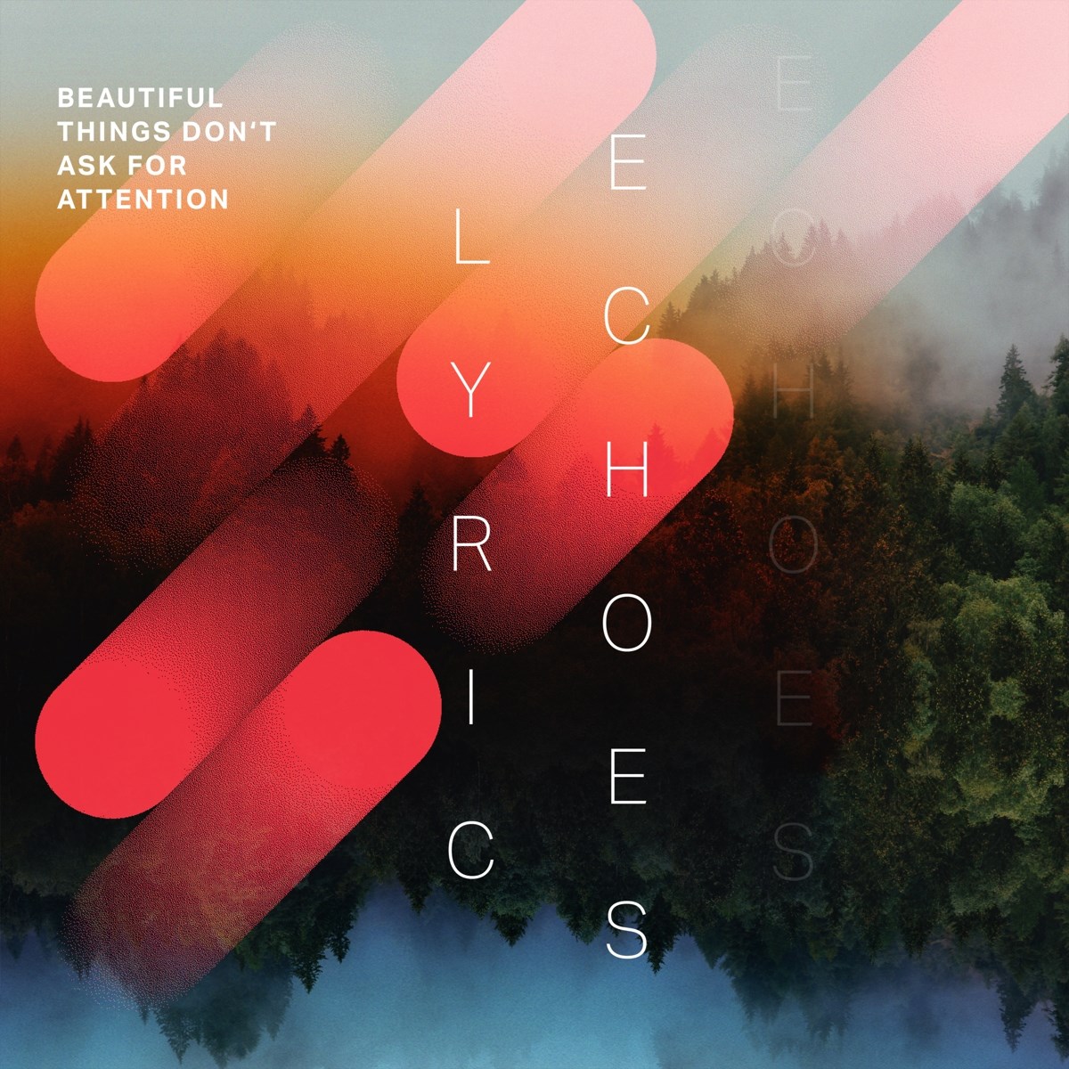 Afbeelding van Lyric Echoes - Beautiful Things Don't Ask For Attention