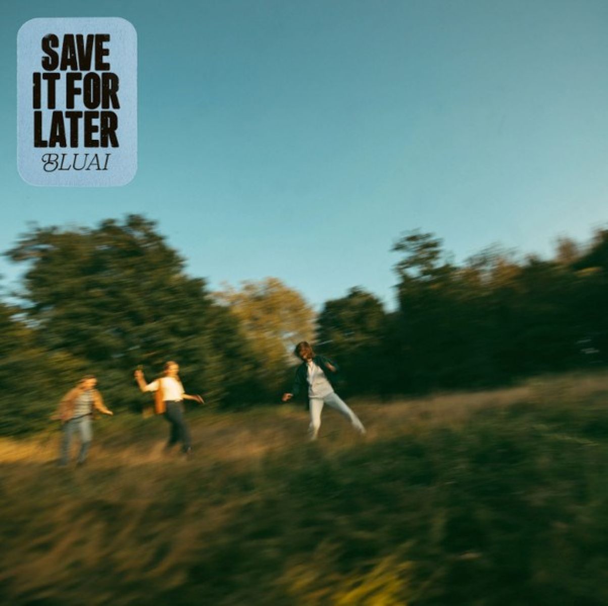 Afbeelding van Bluai - Save It For Later