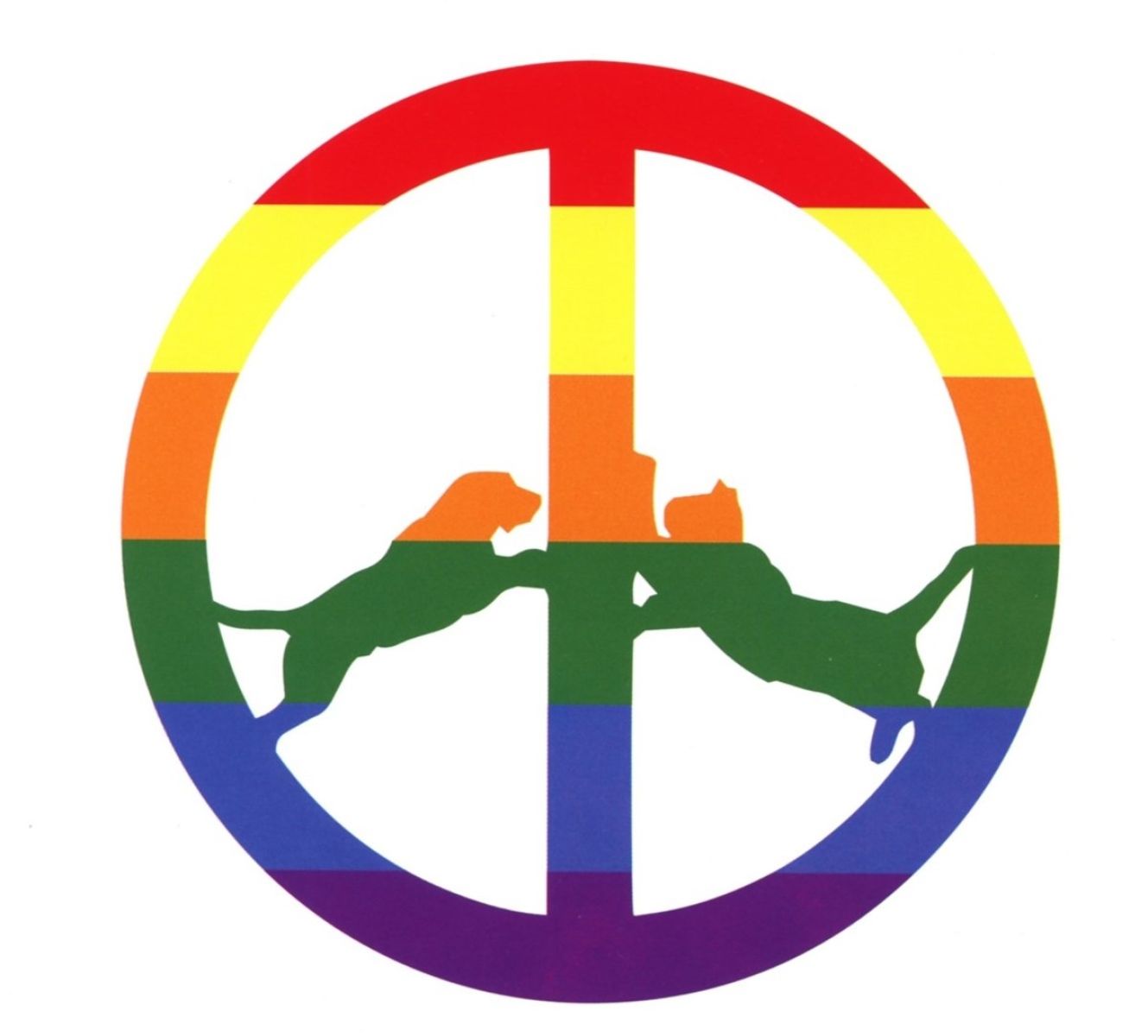 Afbeelding van Hype Williams - Rainbow Edition