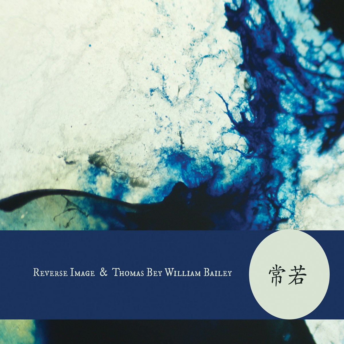 Afbeelding van Reverse Image & Thomas Bey William Bailey - Tokokawa