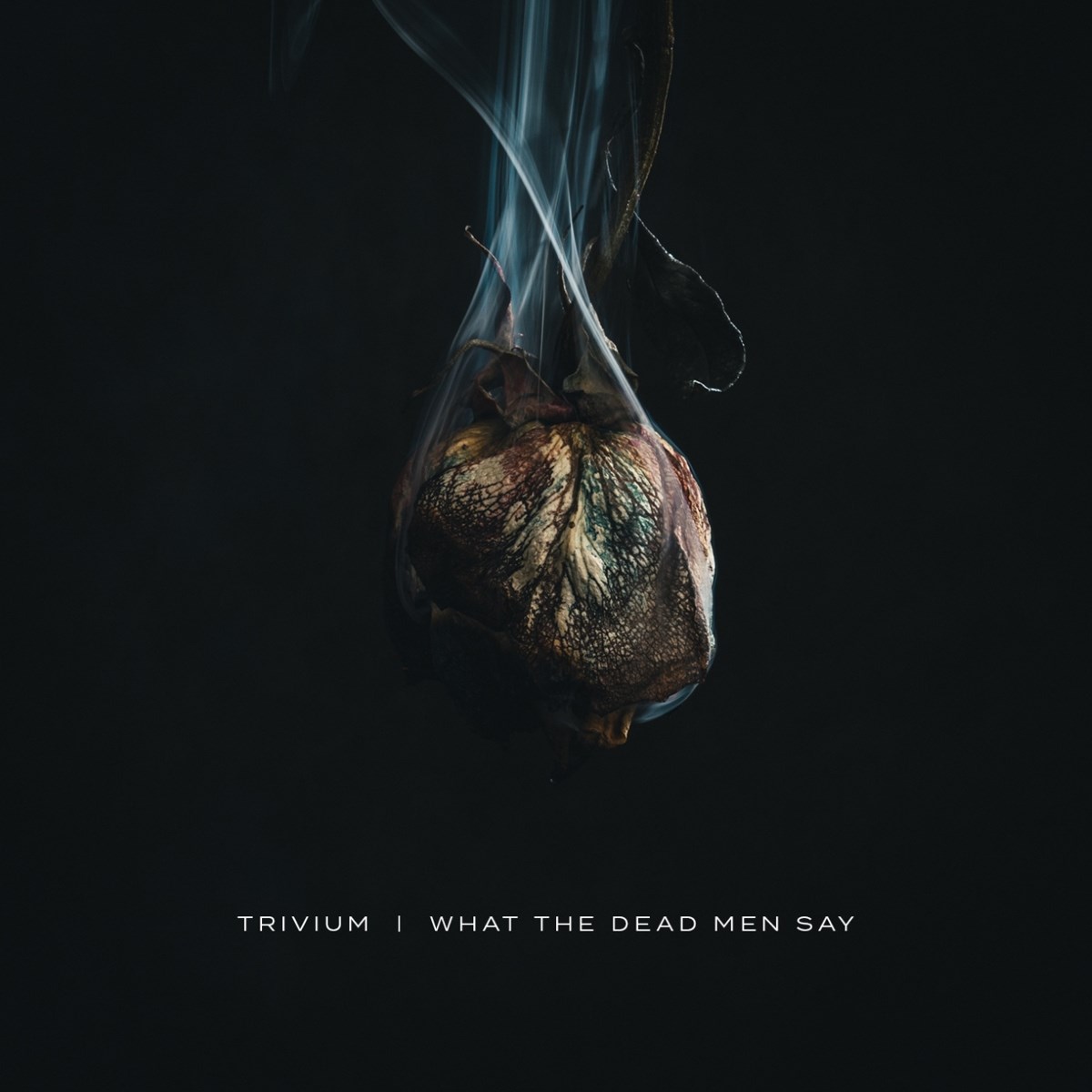 Afbeelding van Trivium - What The Dead Men Say
