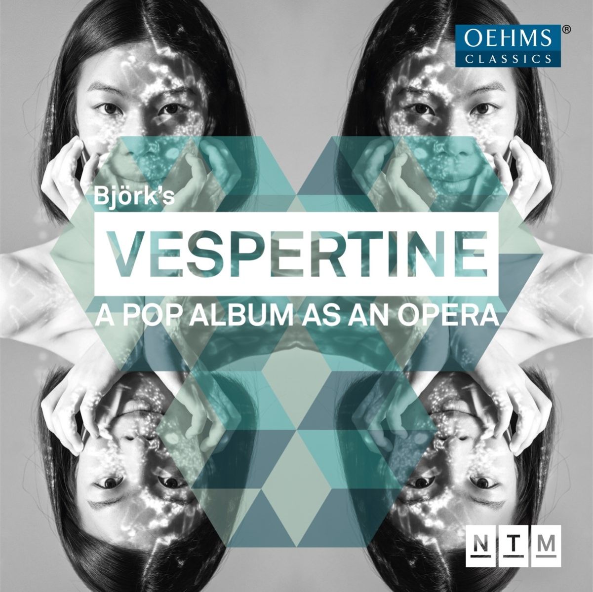 Afbeelding van Bjork: Vespertine