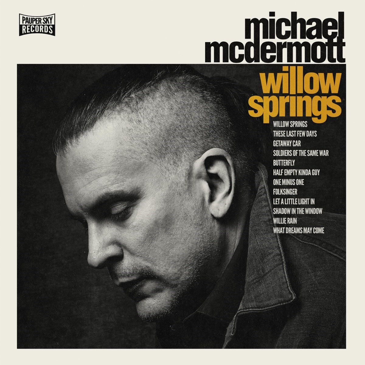 Afbeelding van Michael McDermott - Willow Springs