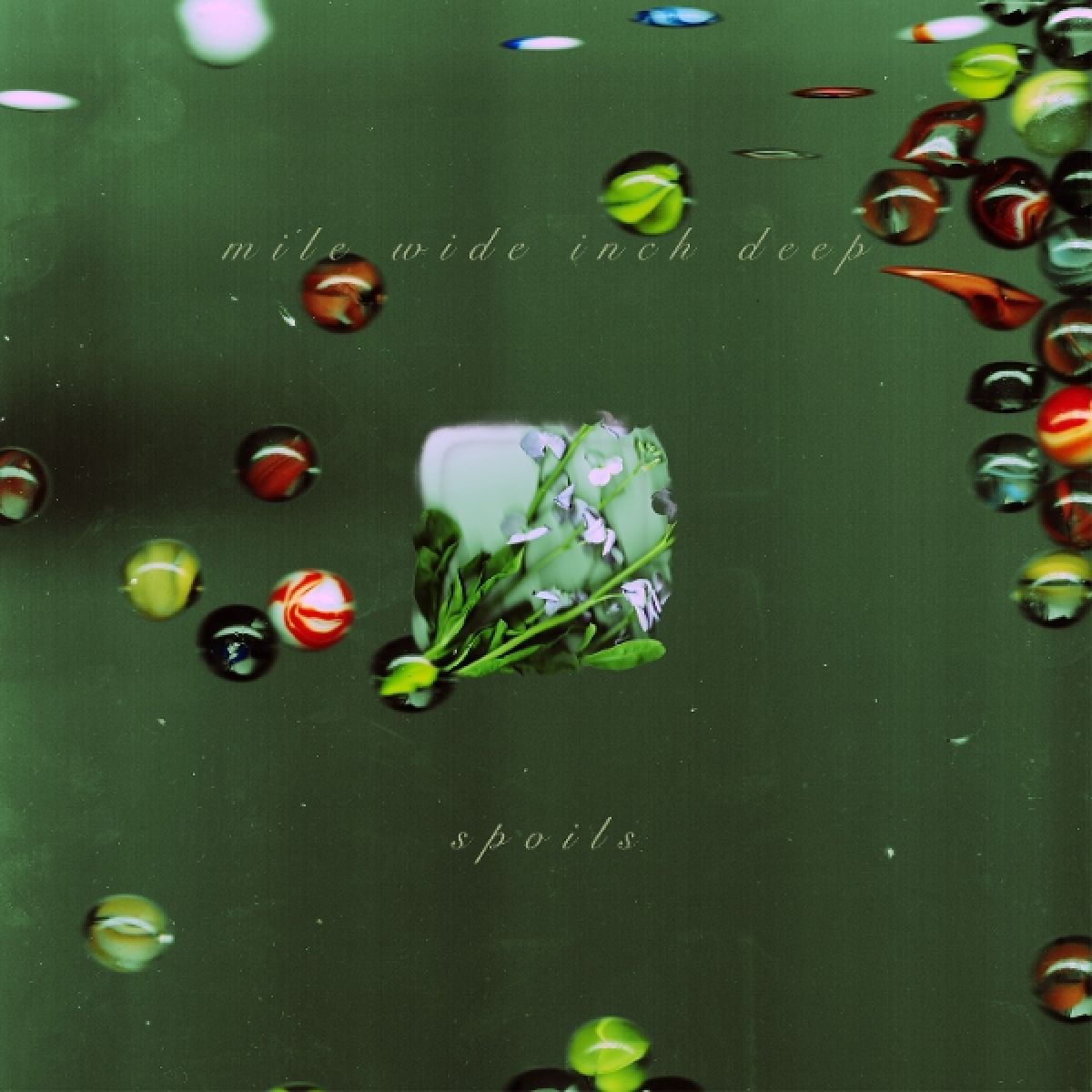 Afbeelding van Spoils - Mile Wide Inch Deep
