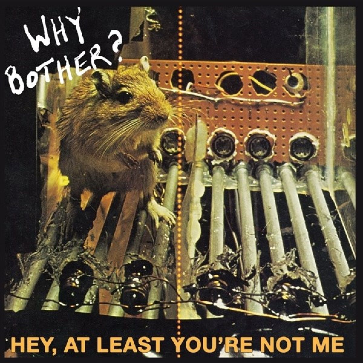 Why Bother? - Hey, At Least You're Not Me