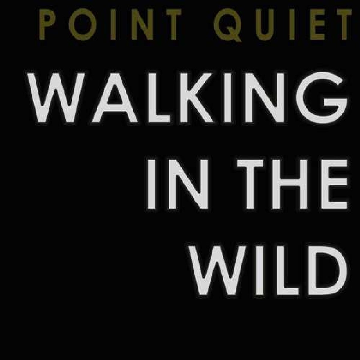 Afbeelding van Point Quiet - Walking In The Wild