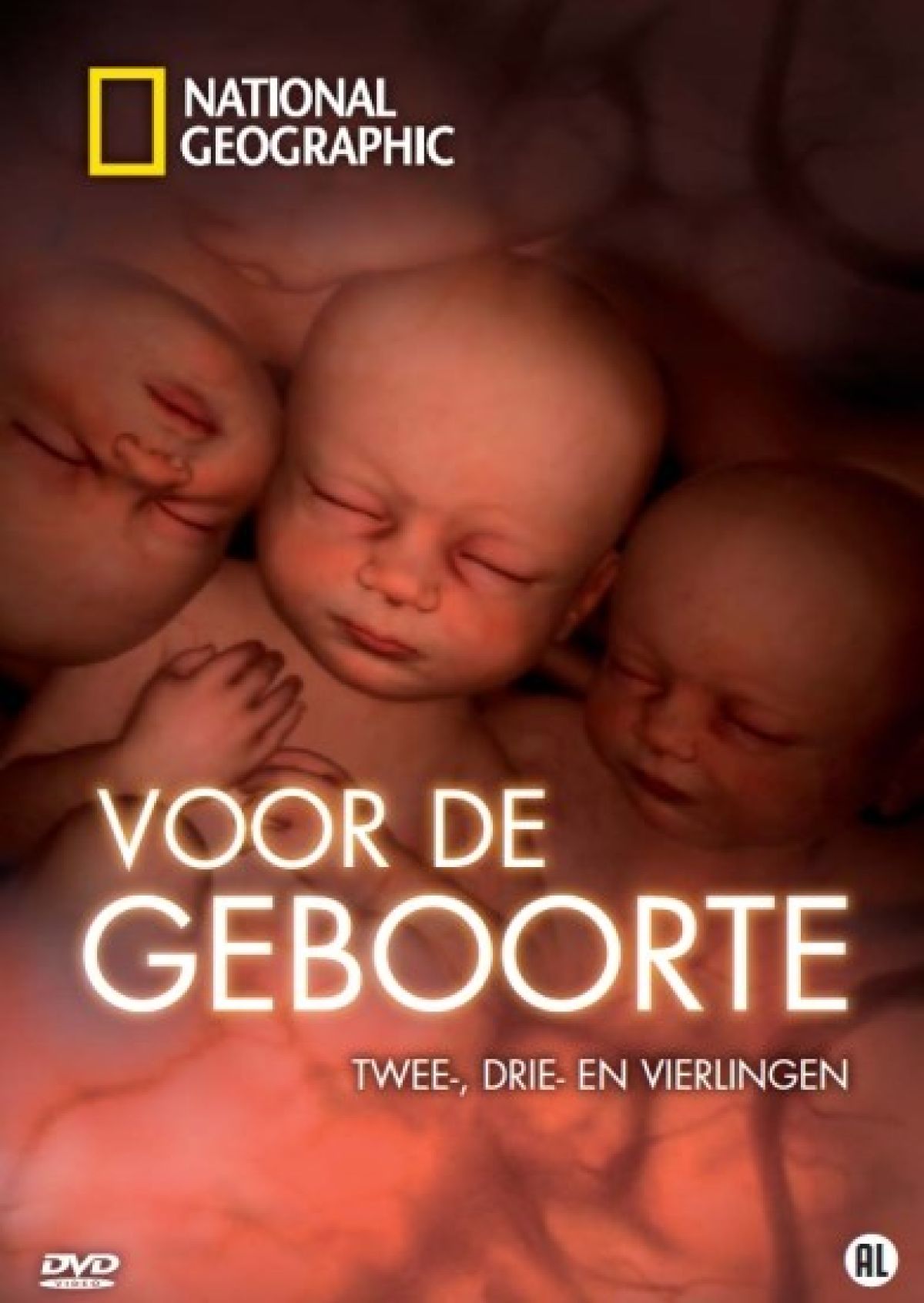 Afbeelding van Voor De Geboorte