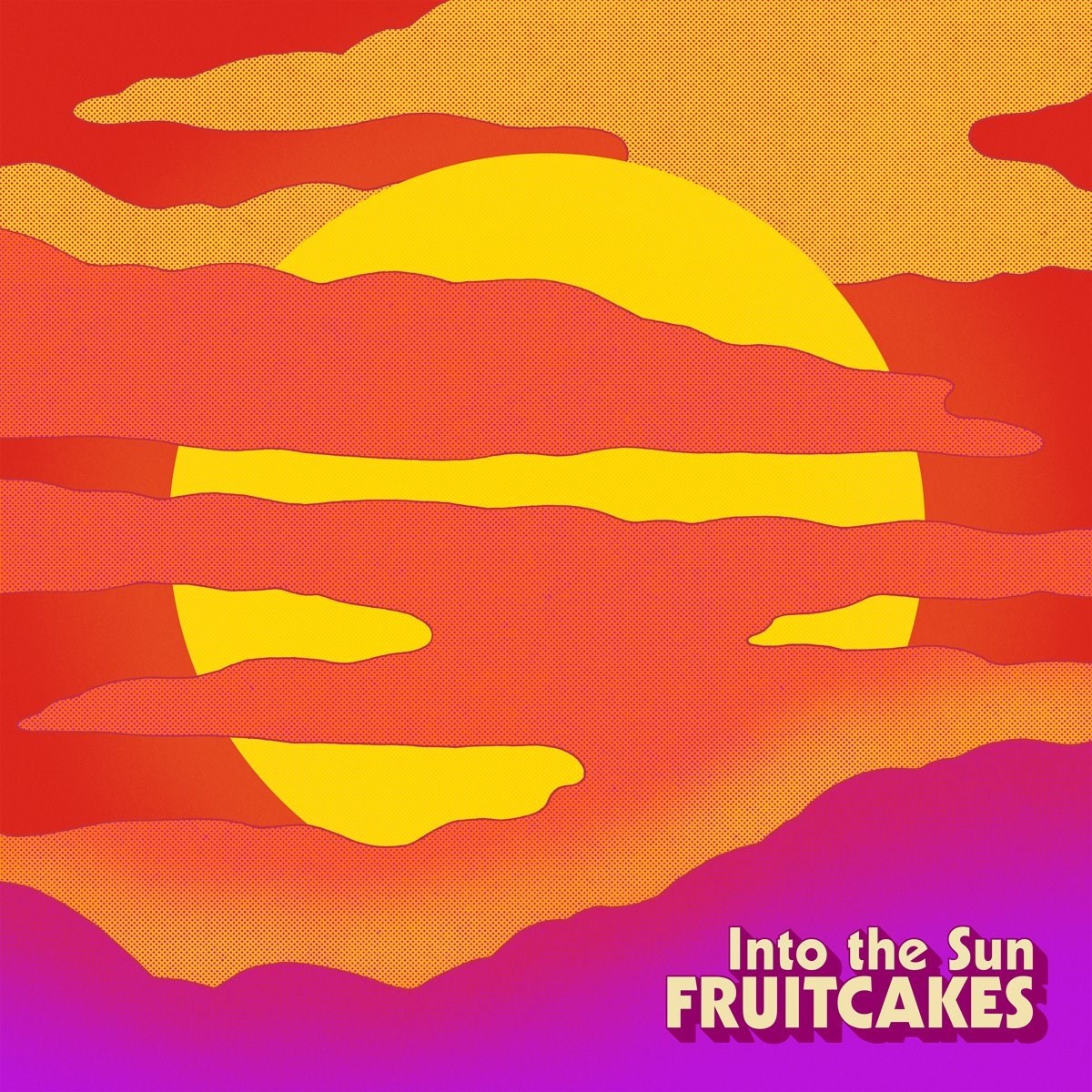 Afbeelding van The Fruitcakes - Into The Sun