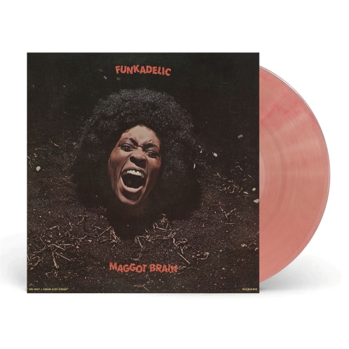 Afbeelding van Funkadelic - Maggot Brain