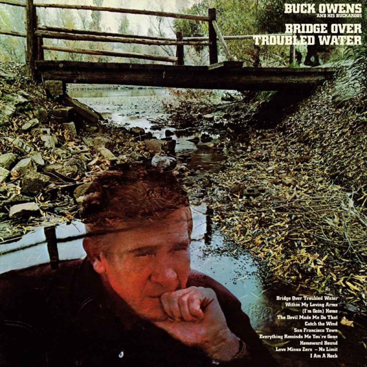 Afbeelding van Bridge Over Troubled Water