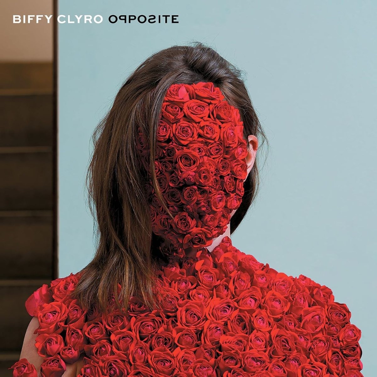 Afbeelding van Biffy Clyro - Opposite / Victory Over The Sun