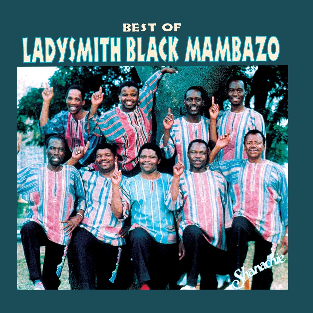 Afbeelding van Best of Ladysmith Black Mambazo