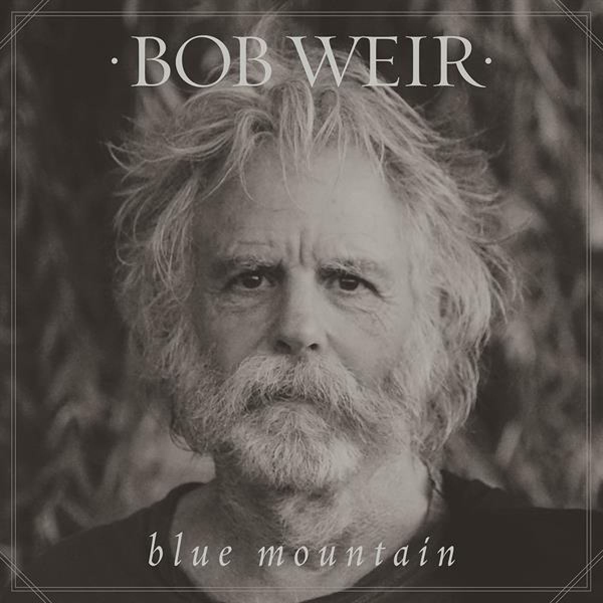 Afbeelding van Blue Mountain