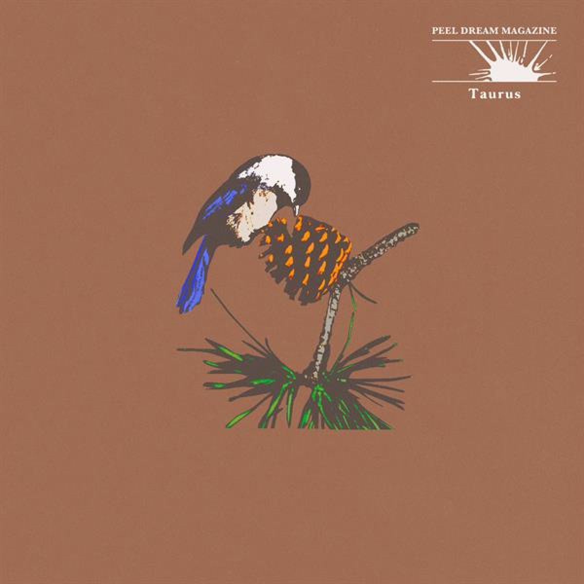 Afbeelding van Peel Dream Magazine - Taurus
