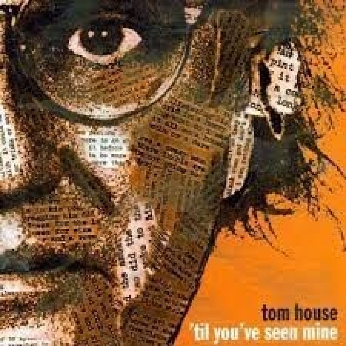 Afbeelding van Tom House - Till You've Seen Mine