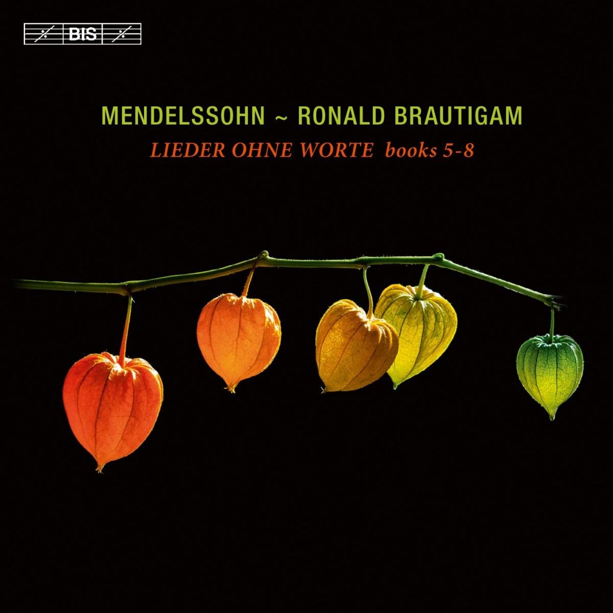 Afbeelding van Ronald Brautigam - Mendelssohn: Lieder Ohne Worte, Books 5-8, Vol. 2