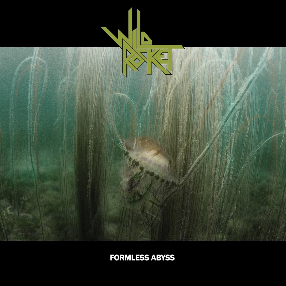 Afbeelding van Wild Rocket - Formless Abyss