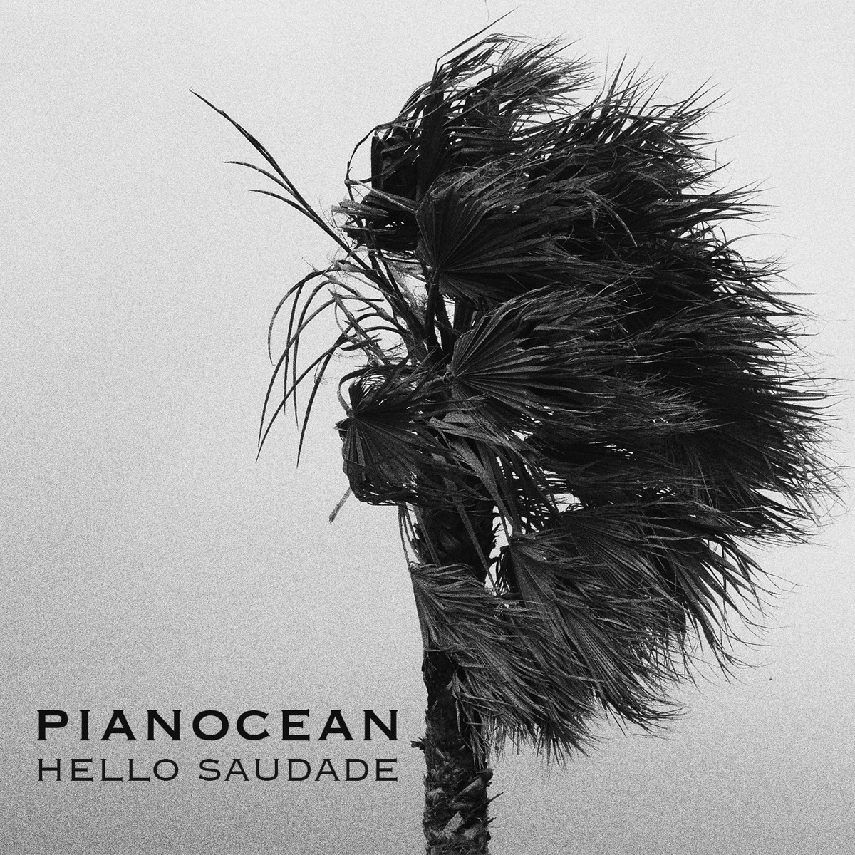 Afbeelding van Pianocean - Hello Saudade