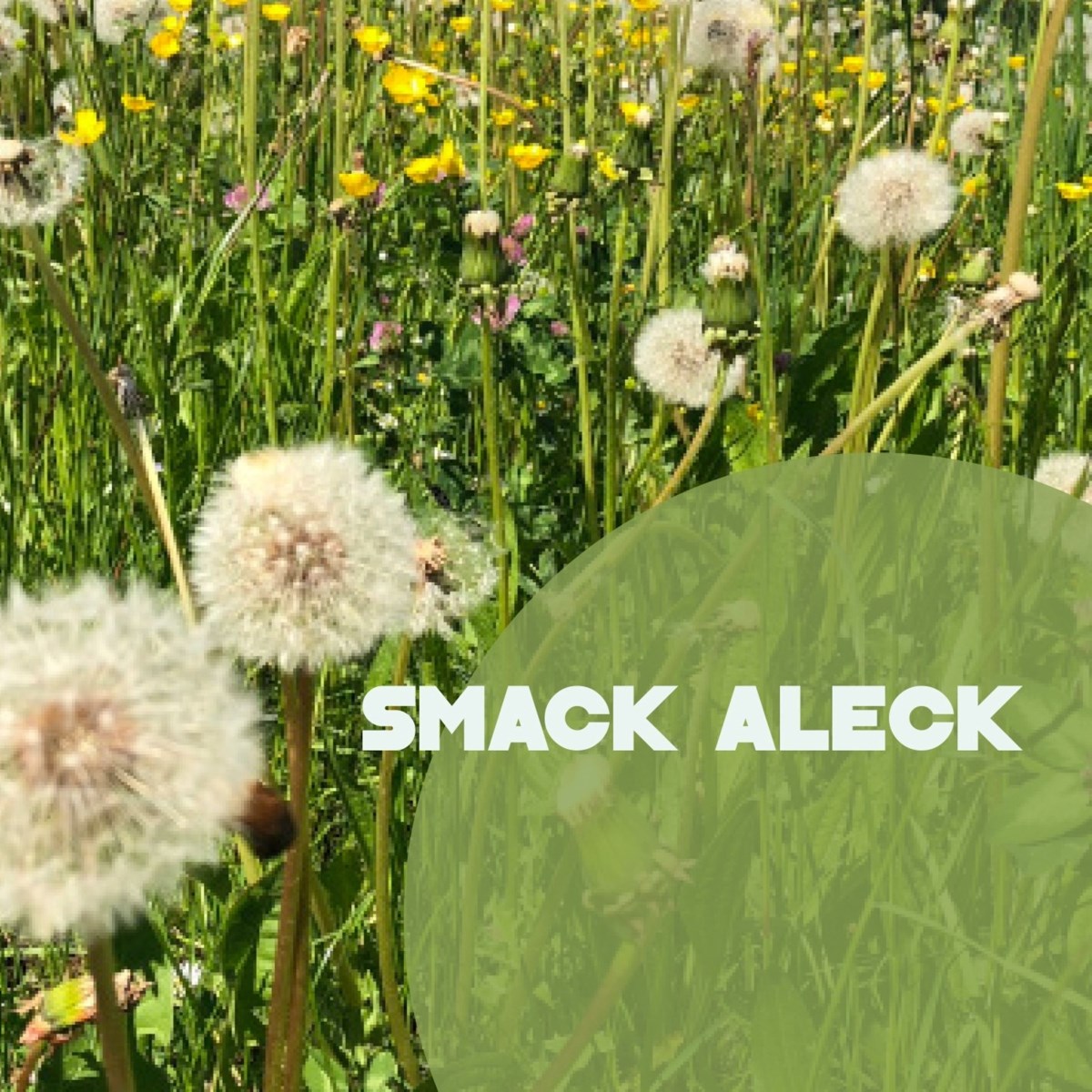 Afbeelding van Smack Aleck - Unavoidable