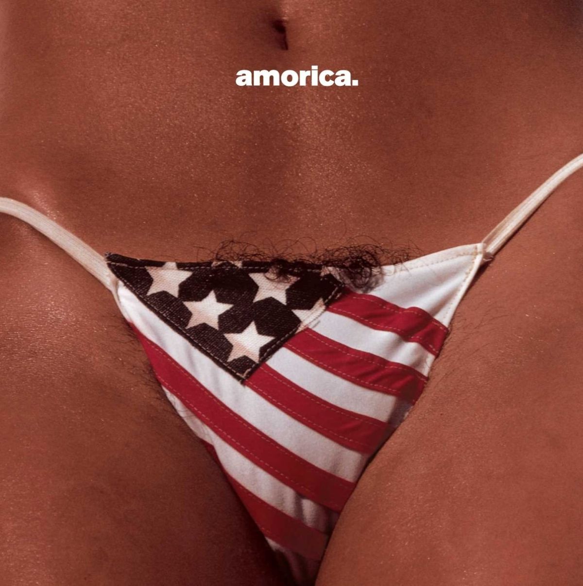 Afbeelding van The Black Crowes - Amorica