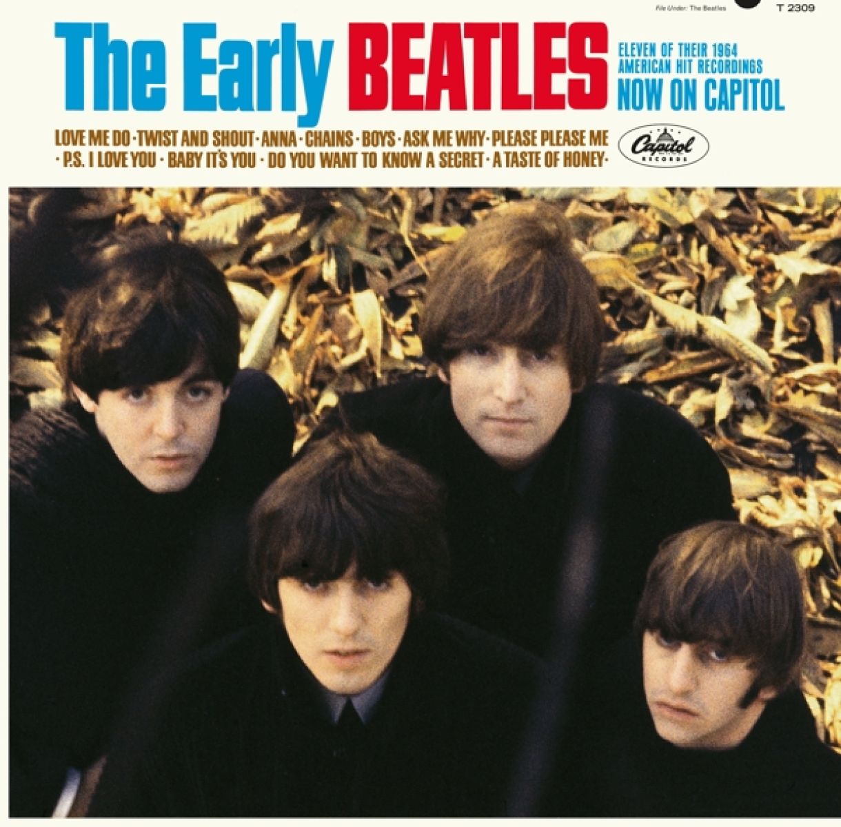 Afbeelding van The Beatles - The Early Beatles