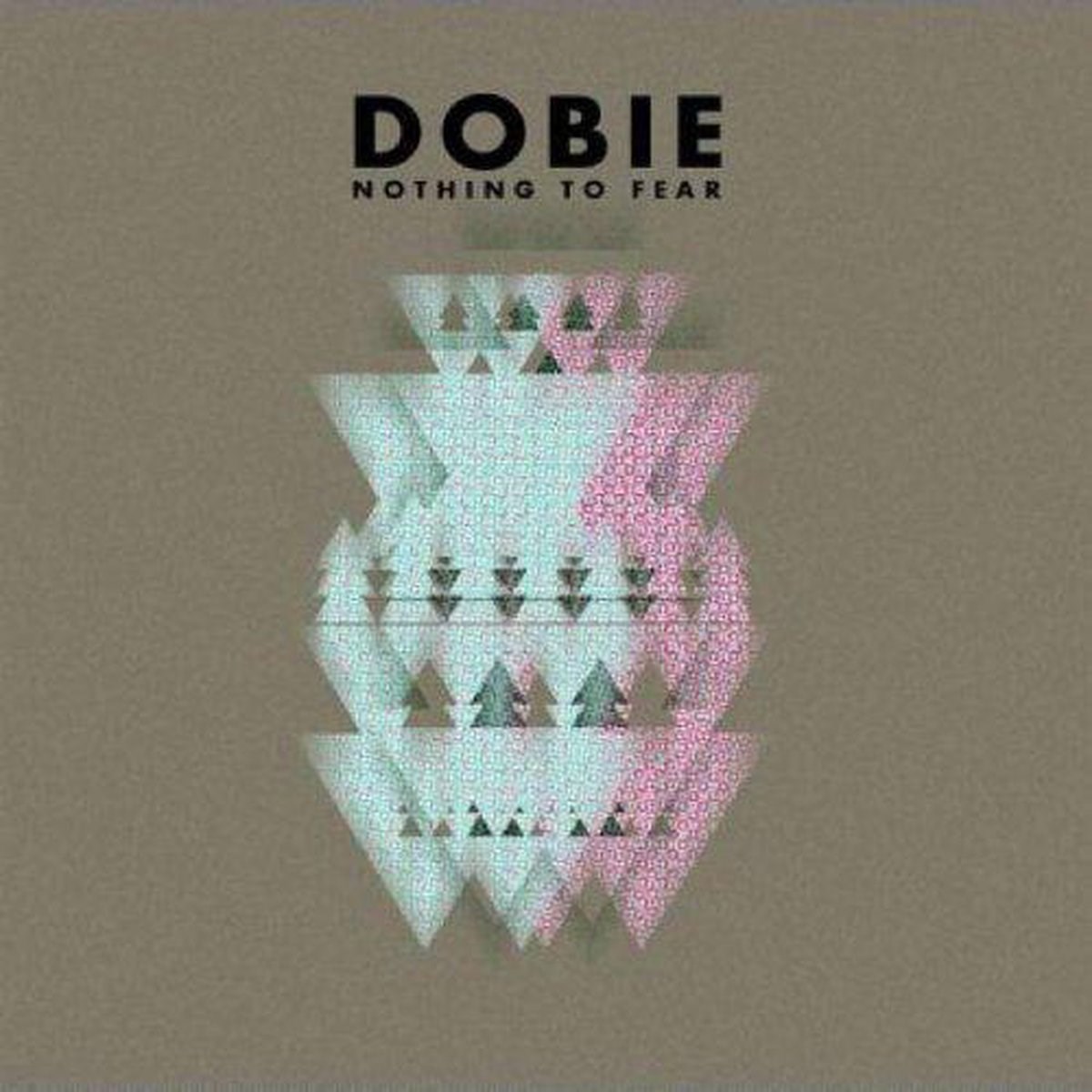 Afbeelding van Dobie - Nothing To Fear