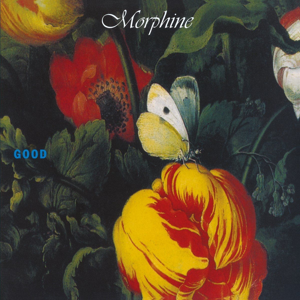 Afbeelding van Morphine - Good