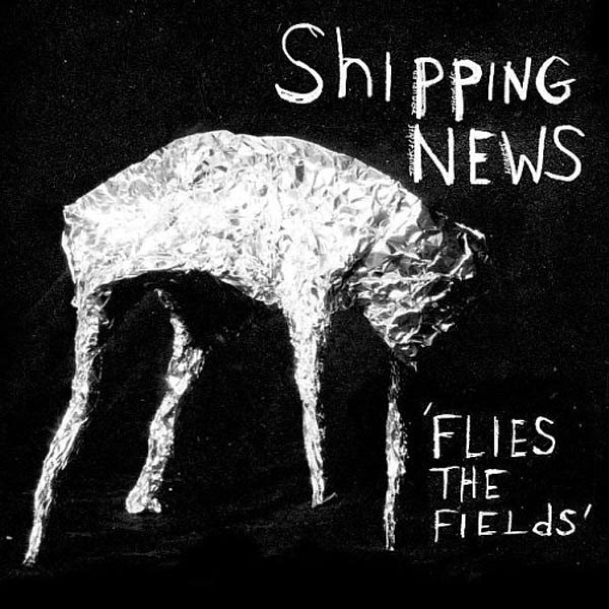 Afbeelding van Shipping News - Flies The Fields