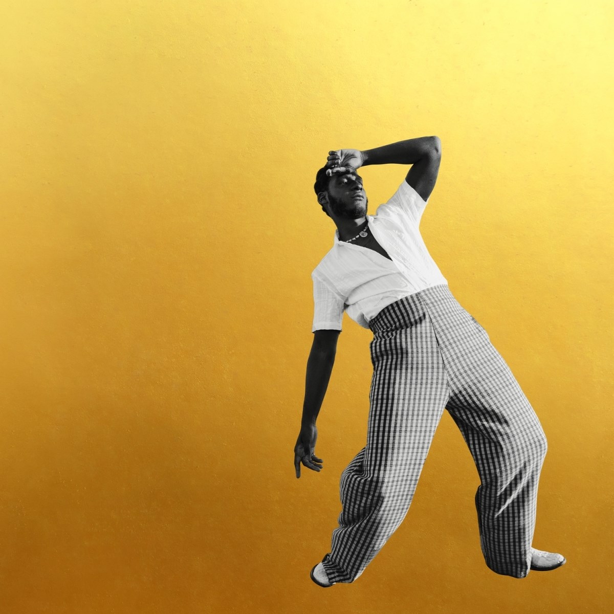 Afbeelding van Leon Bridges - Gold-Diggers Sound