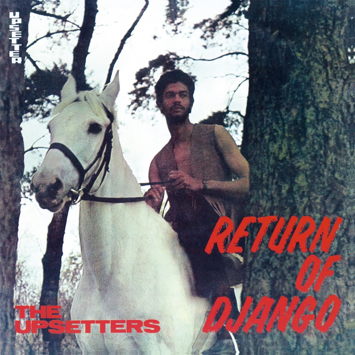 Afbeelding van The Upsetters - Return Of Django