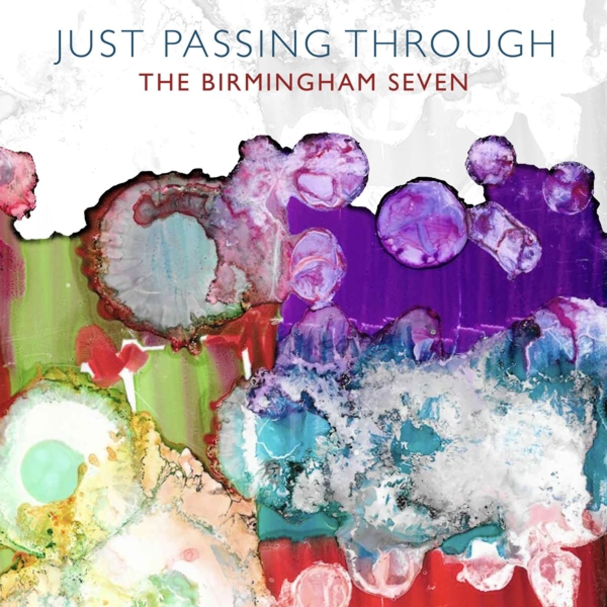 Afbeelding van The Birmingham Seven - Just Passing Through