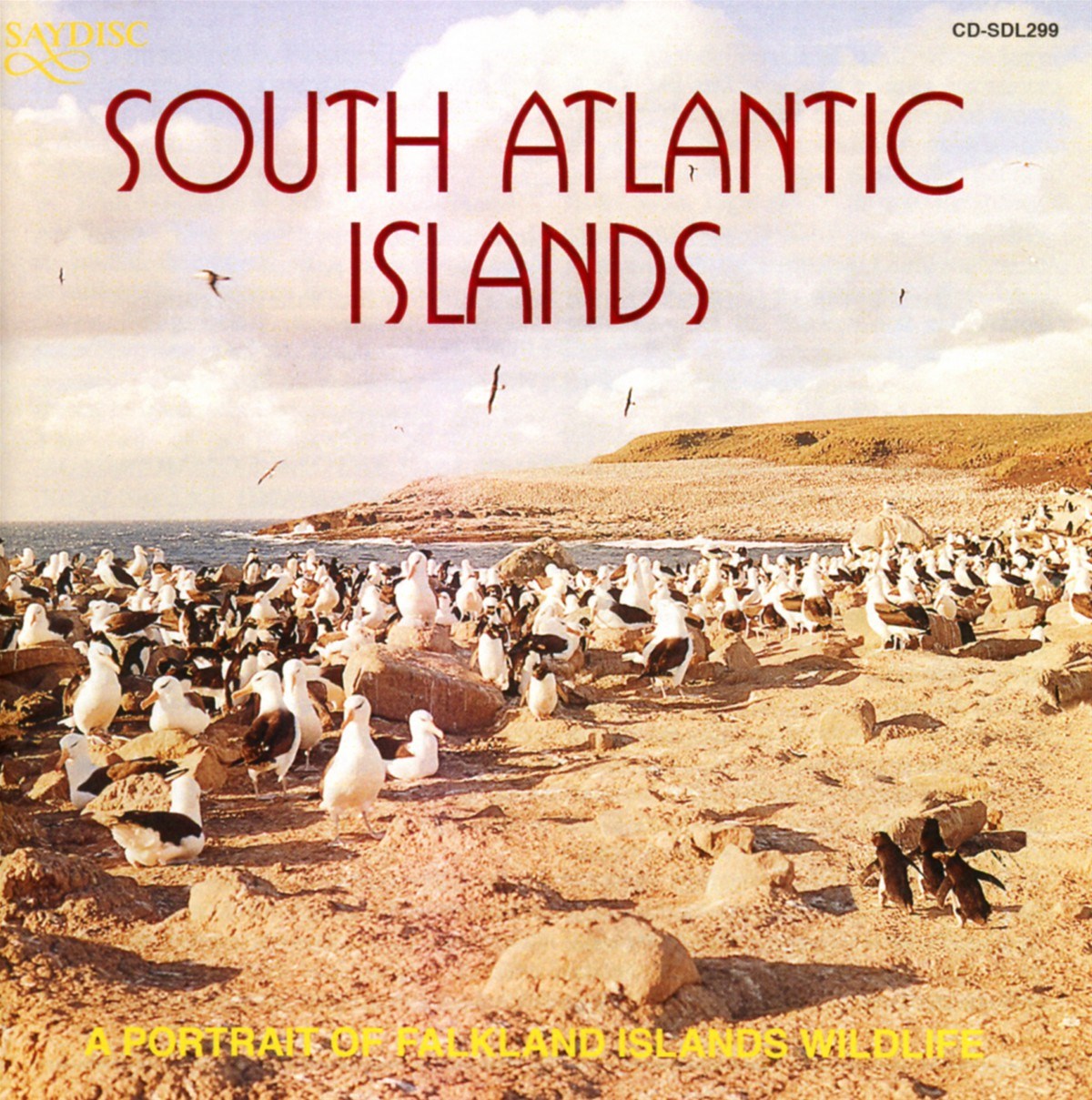 No Artist - Natural Sound: A Portrait Of Falkland Islands Wild
