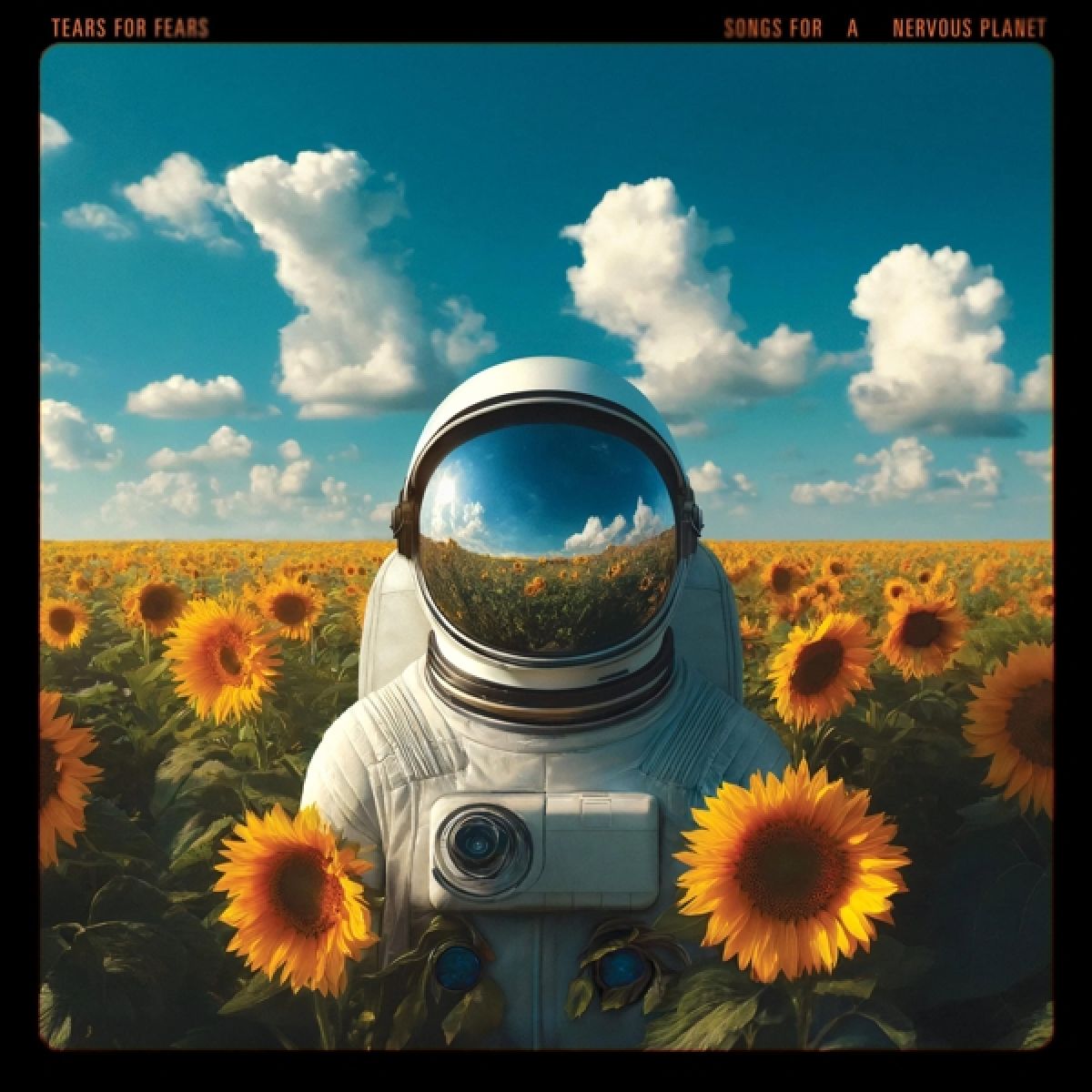 Afbeelding van Tears For Fears - Songs For A Nervous Planet