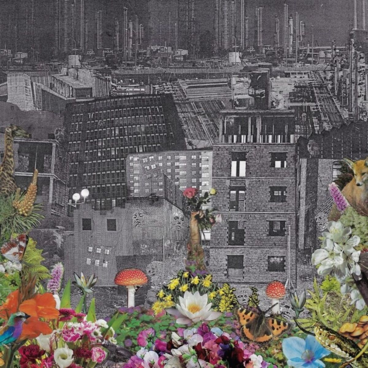 Afbeelding van Bloody Head - Perpetual Eden
