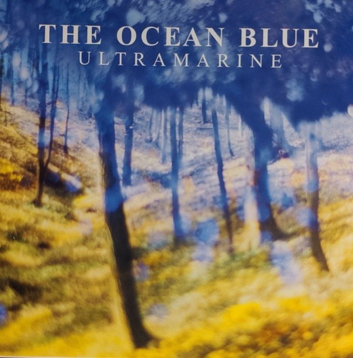 Afbeelding van The Ocean Blue - Ultramarine