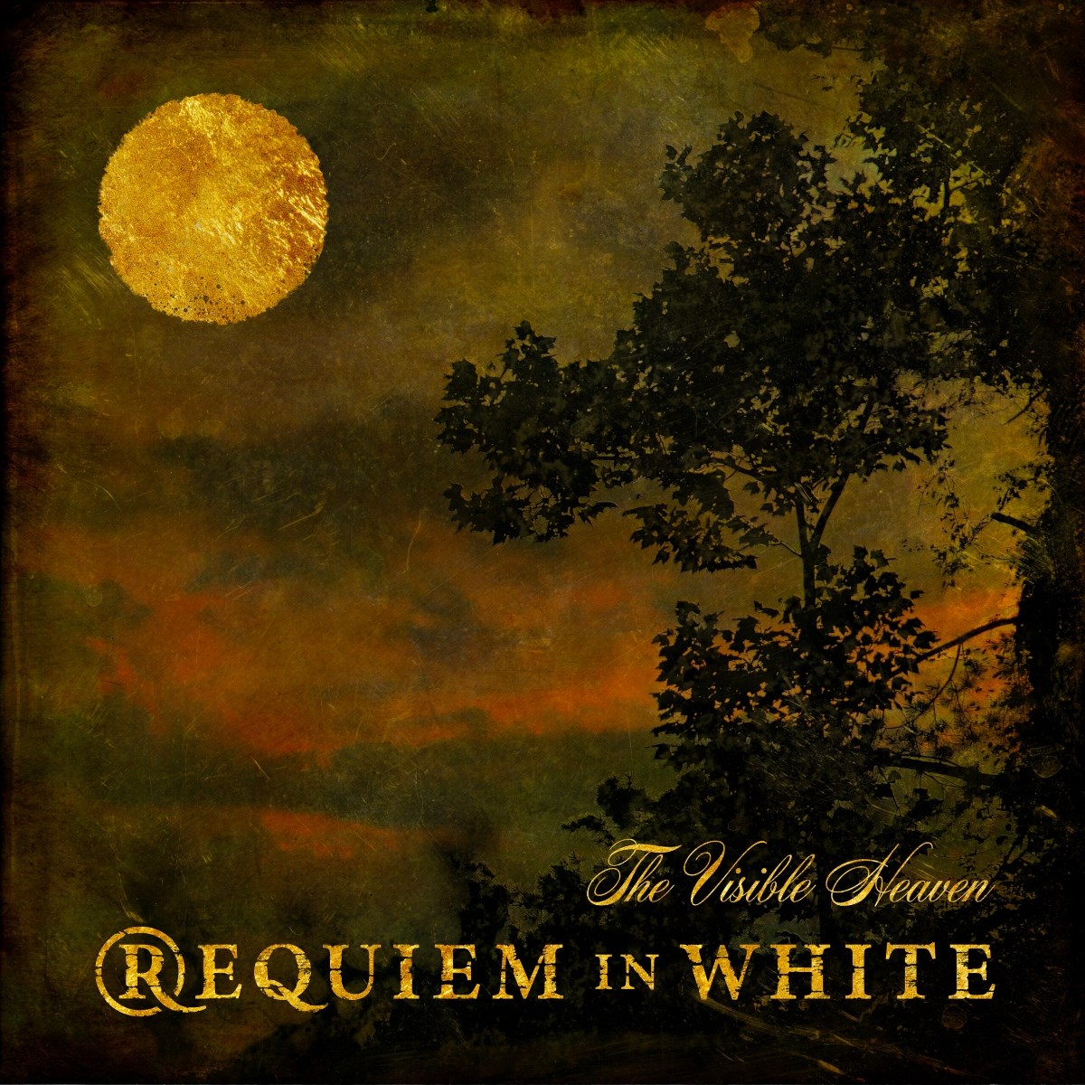 Afbeelding van Requiem In White - The Visible Heaven