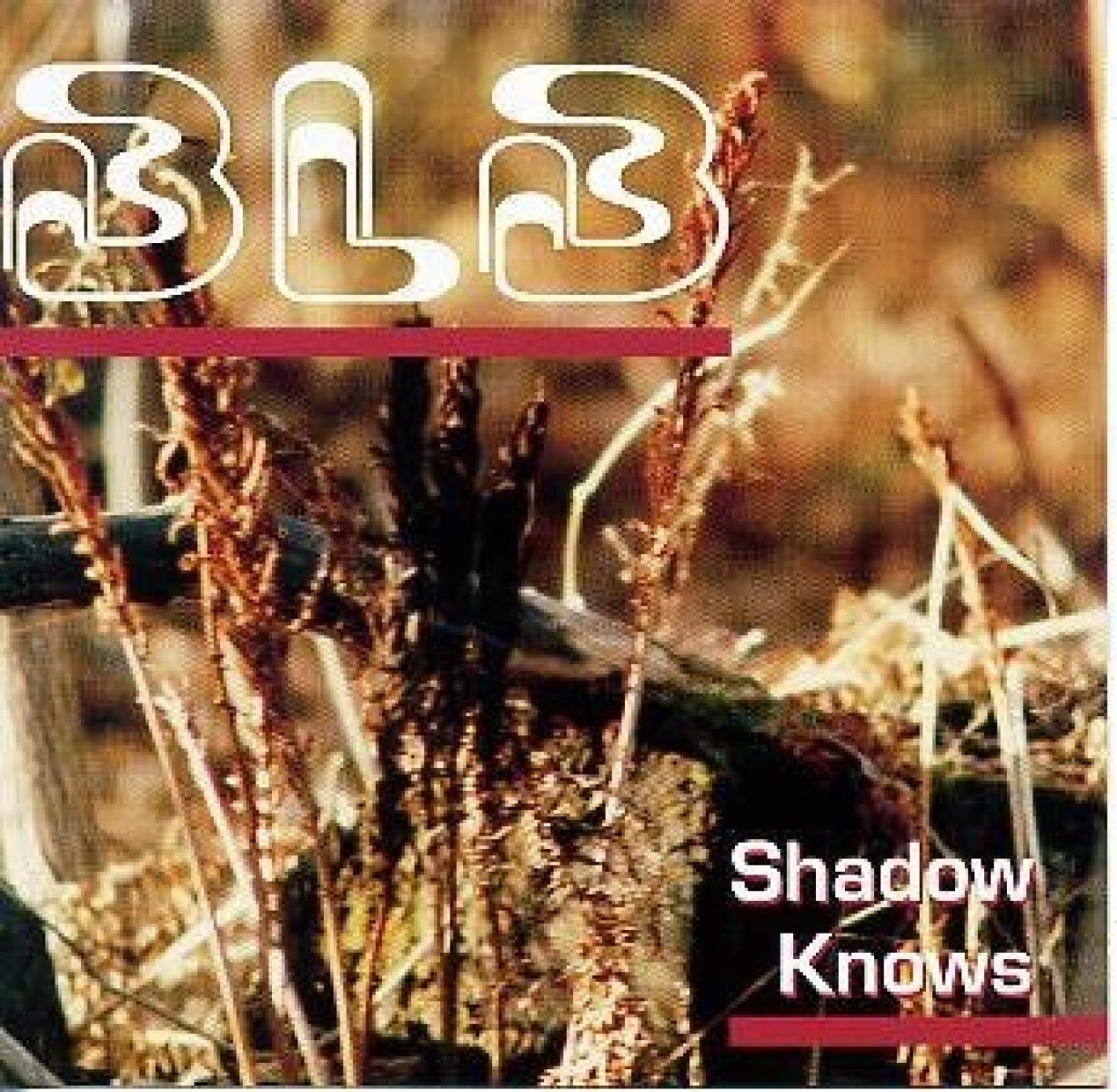 Bobby Lalonde Band - Shadow Knows