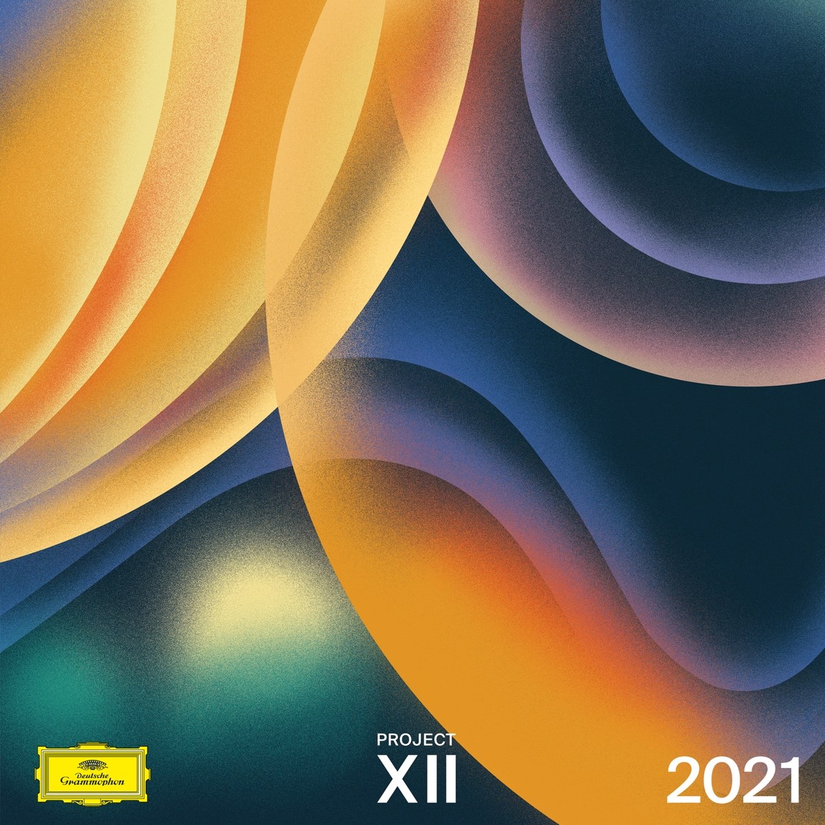 Afbeelding van Various Artists - Project XII 2021