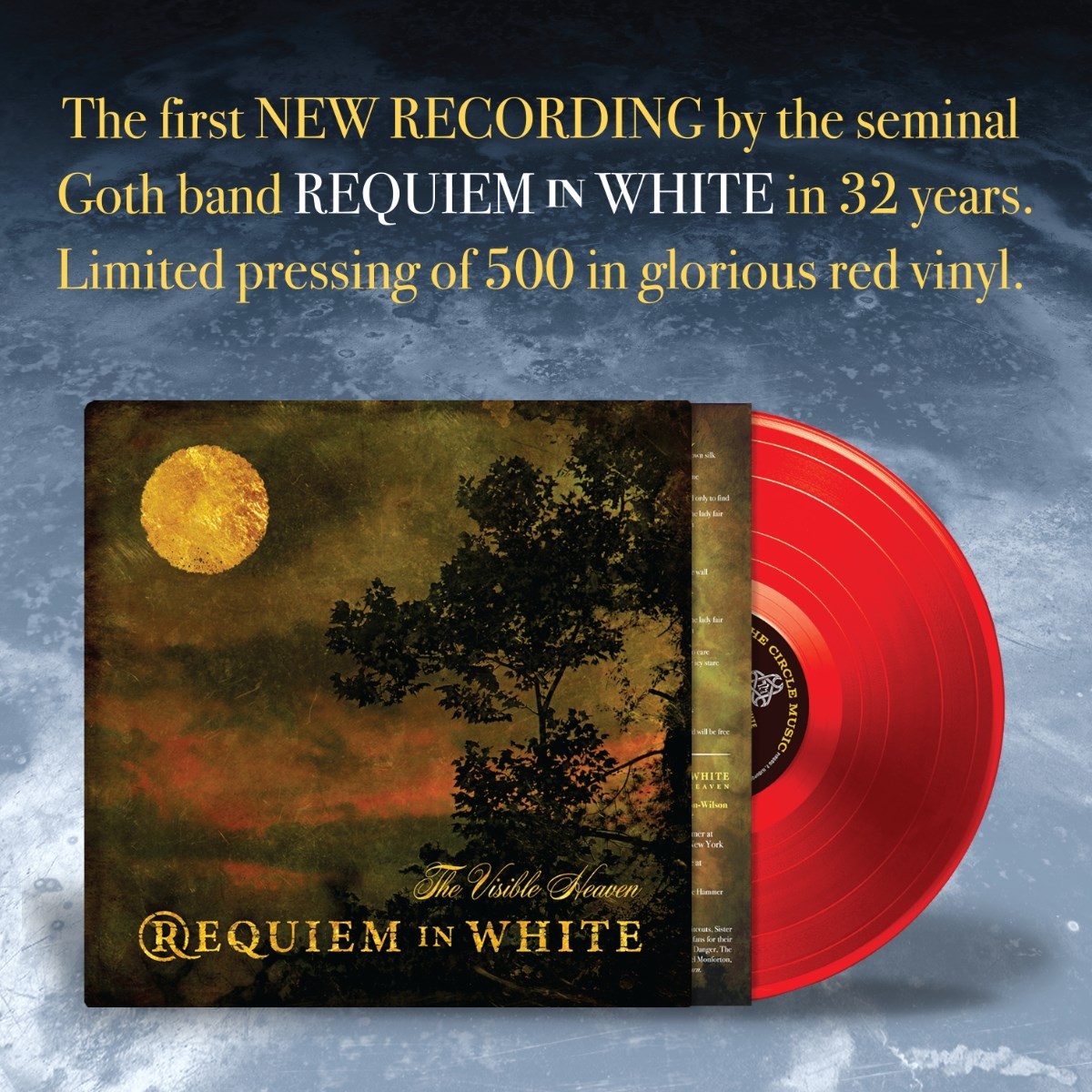 Afbeelding van Requiem In White - The Visible Heaven