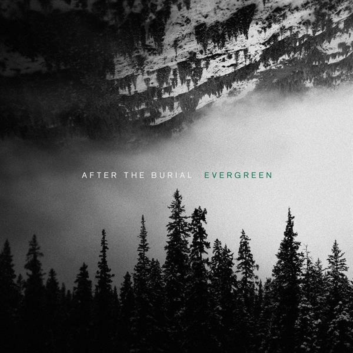 Afbeelding van After The Burial - Evergreen