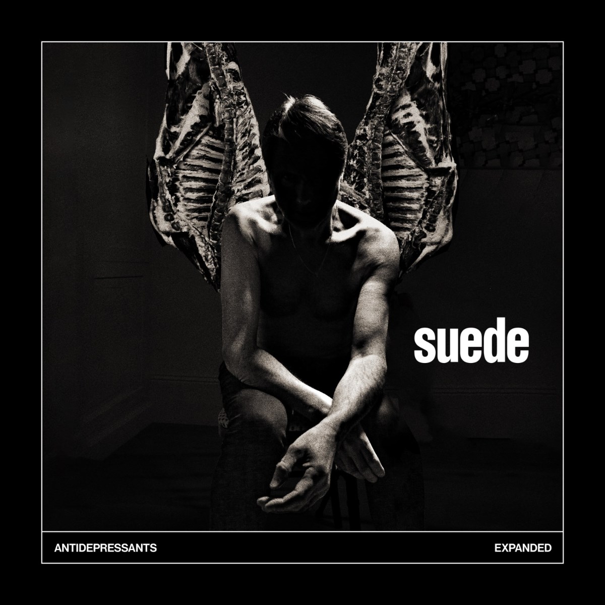 Afbeelding van Suede - Antidepressants: Expanded