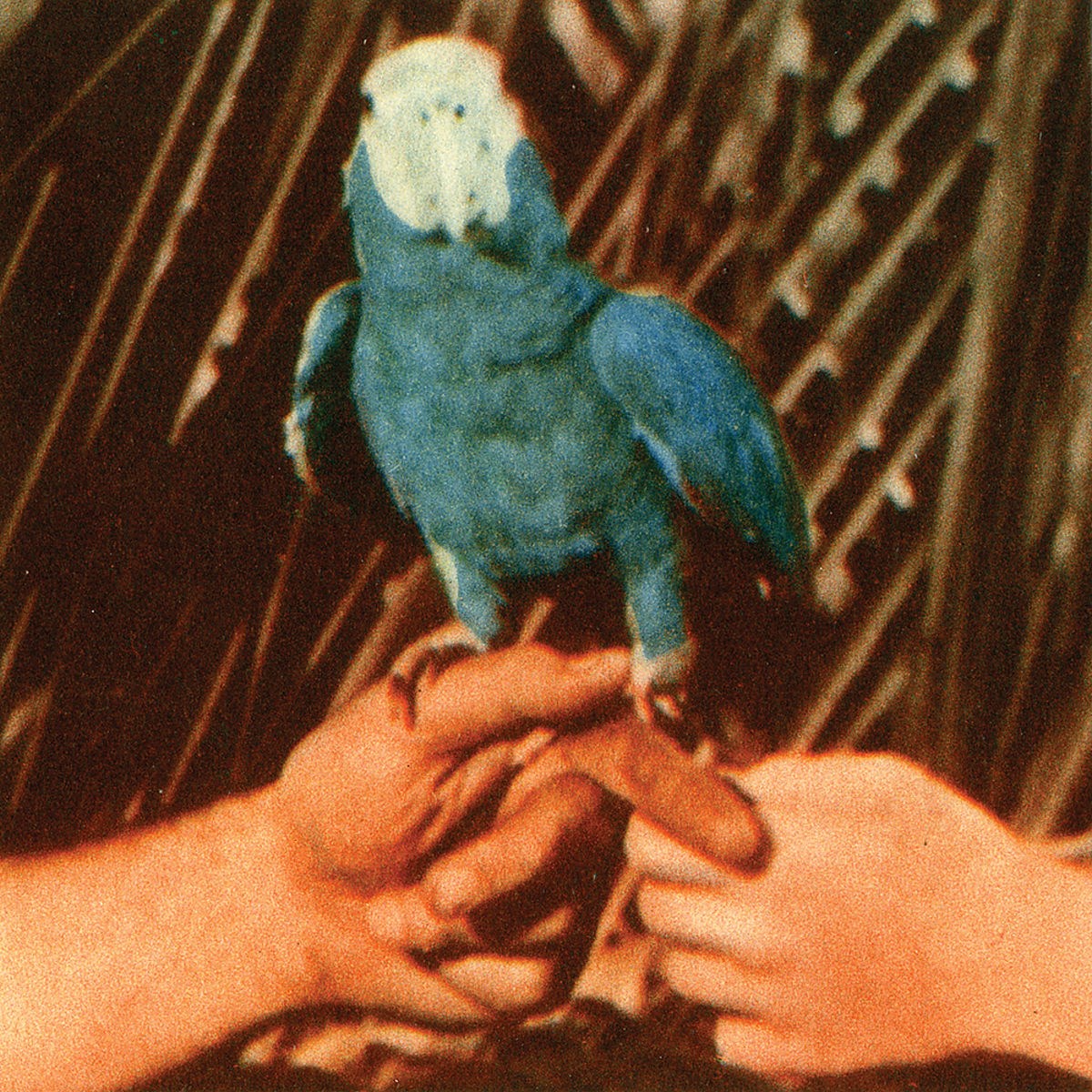 Afbeelding van Andrew Bird - Are You Serious