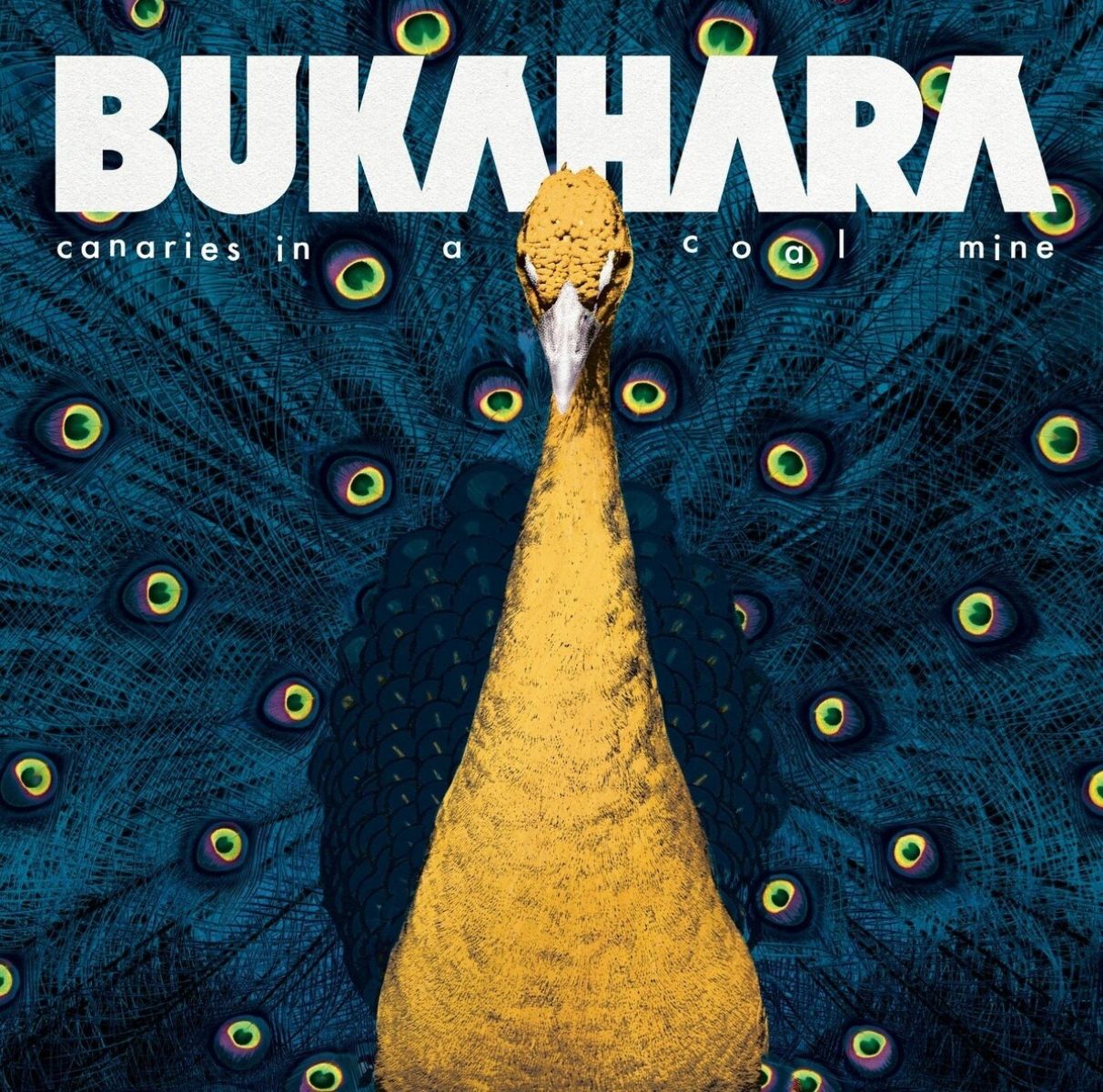 Afbeelding van Bukahara - Canaries In A Coalmine