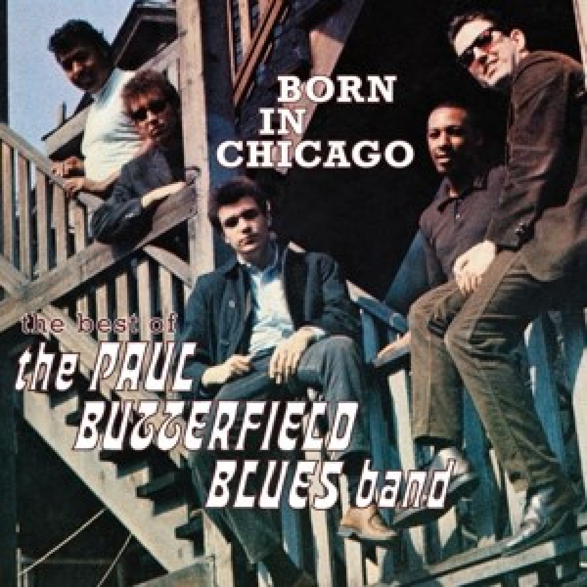Afbeelding van The Paul Butterfield Blues Band - Born In Chicago