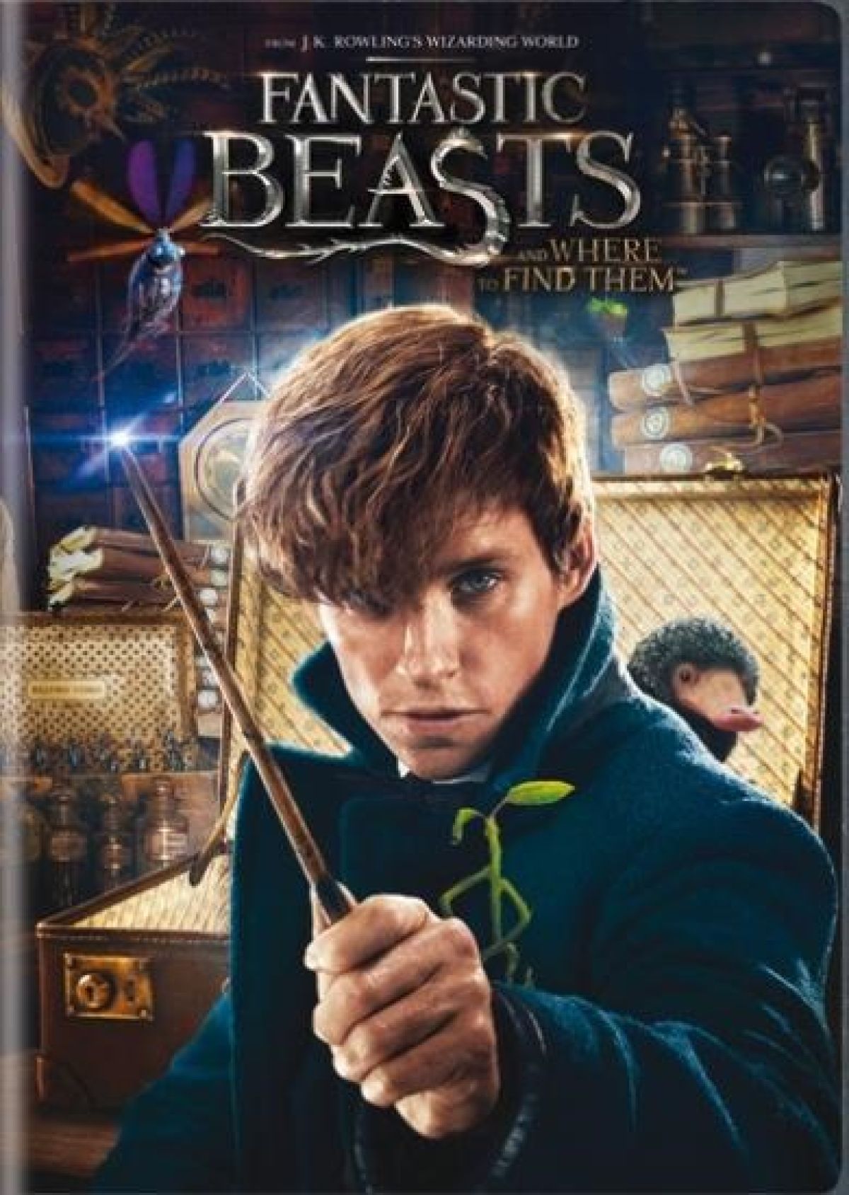 Afbeelding van Fantastic Beasts And Where To Find Them